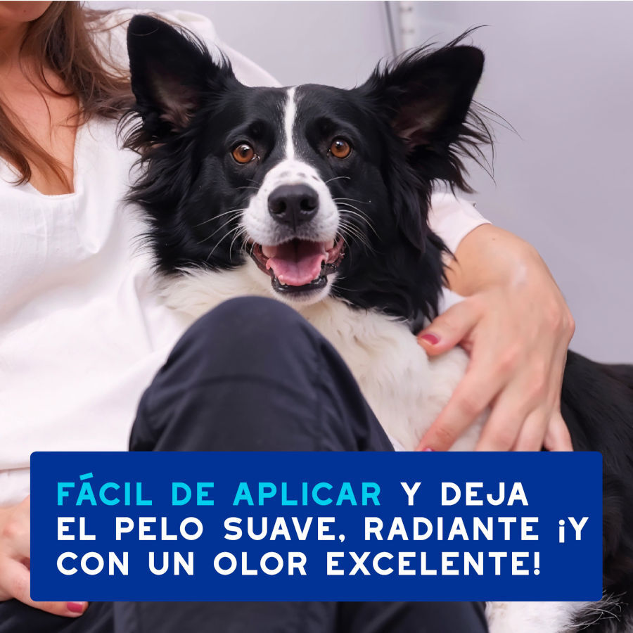 Ceva Douxo Spa Mousse Limpiador Expr&eacute;s para perros, , large Imagen numero 5