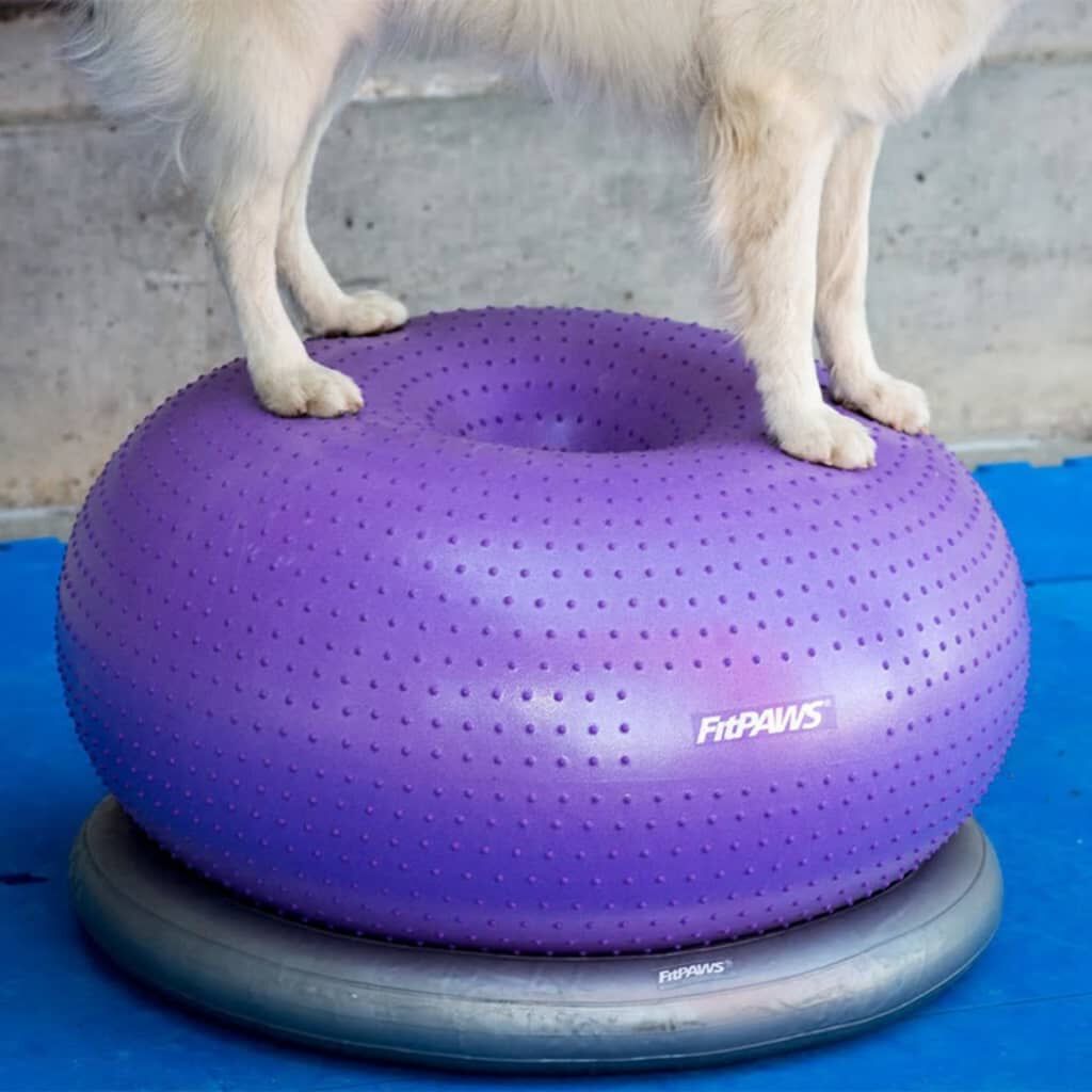 FitPAWS Pelota de equilibrio para mascotas TRAX Donut morado 55 cm, , large Imagen numero 4