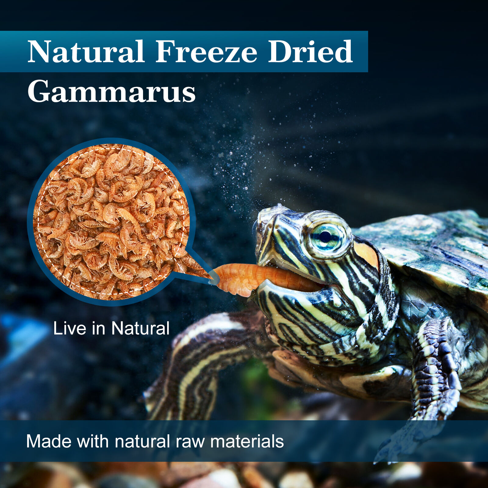 Nobleza Alimento para tortugas y tortugas de agua elaborado con langostinos de r&iacute;o naturales de alta calidad 120g / 1000ml, , large Imagen numero 3