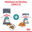85 g Royal Canin Hairball Care Sobre en Gelatina para gatos, , large indicador imagen numero 6