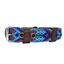 LOYAL COLLAR DE PIEL ARTESANAL TALLA M PARA PERROS, , large indicador imagen numero 2