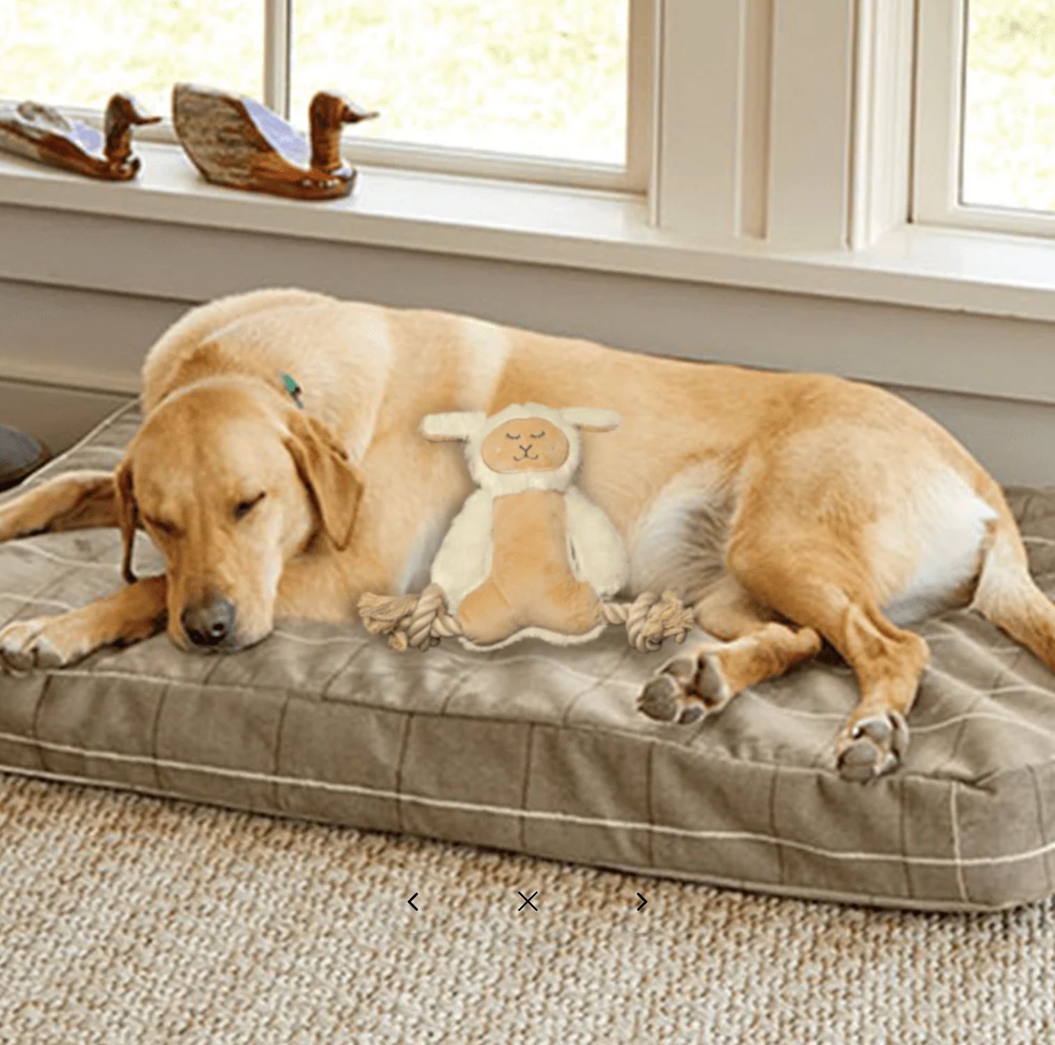 FOFOS | Peluche de Oveja con Cuerda - Para Perro, , large Imagen numero 3