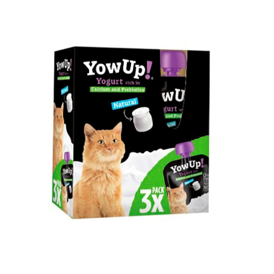 3 uds. x 85 g YowUp! Yogur Natural para gatos, , large Imagen numero 1