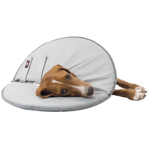 Collar protector para mascotas color Gris, , large Imagen numero 5