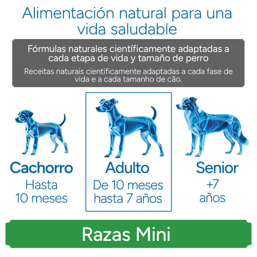 Criadores Cient&iacute;fico Sensitive Adulto Mini Pienso Salm&oacute;n para perros, , large Imagen numero 11