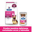 10 kg Hill's Prescription Diet Gastrointestinal Biome Pollo pienso para perros, , large indicador imagen numero 9