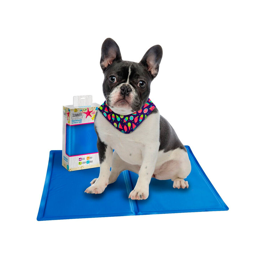 Manta refrigerante perros tiendanimal clearance