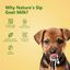 Nature's Sip para perros: leche de cabra con calabaza, semillas de calabaza, manzana y canela (150 g/5,29 oz), , large indicador imagen numero 4