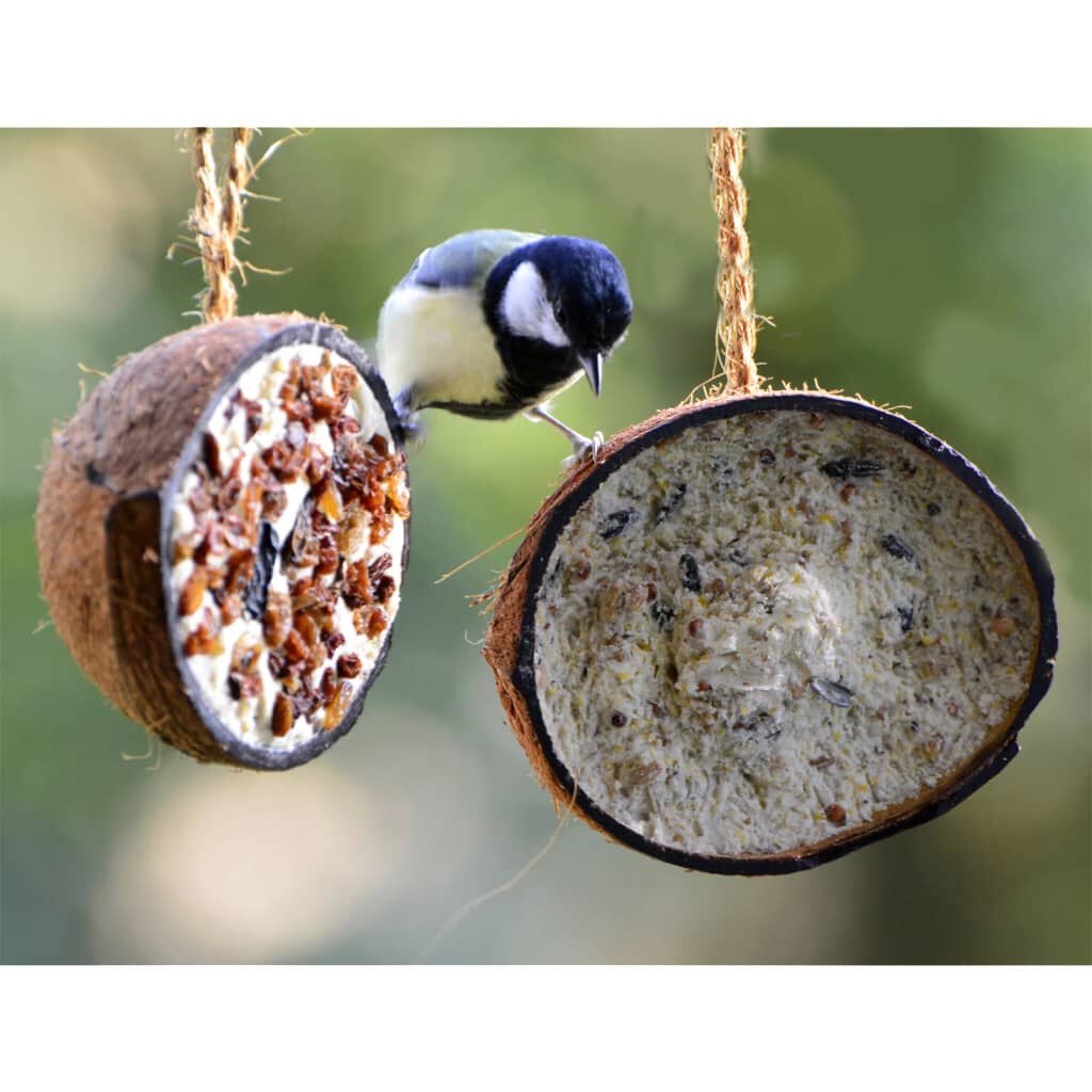 Dobar Mitades de coco rellenas alimentos grasos para pájaros thumbnail