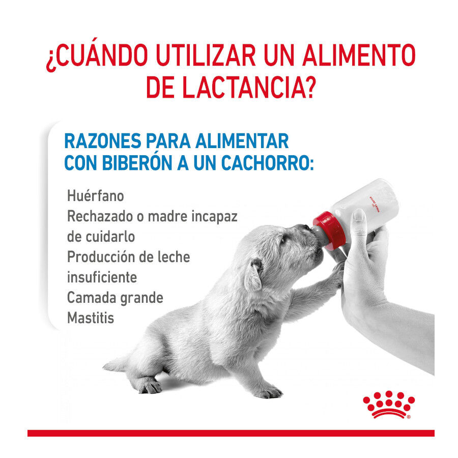 400 g Royal Canin Leche para cachorros primer a&ntilde;o, , large Imagen numero 4