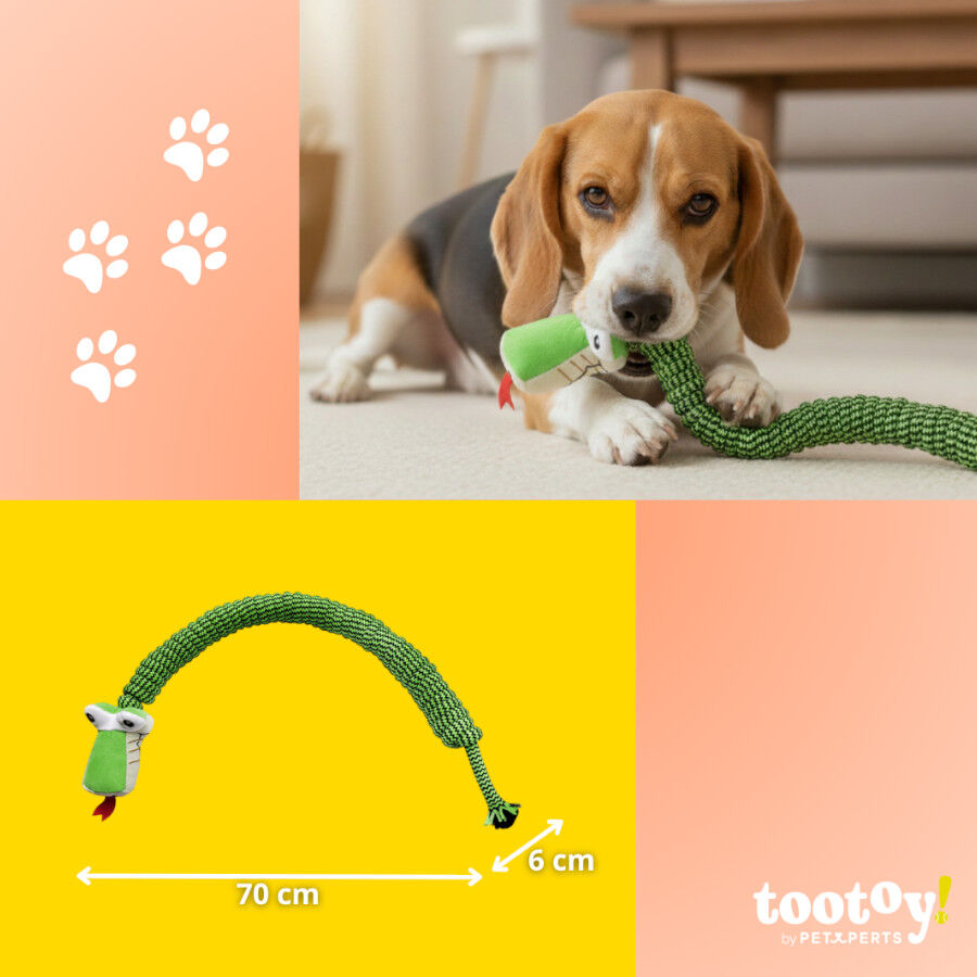 Tootoy! Serpiente Modedor de Cuerda para perros, , large Imagen numero 4