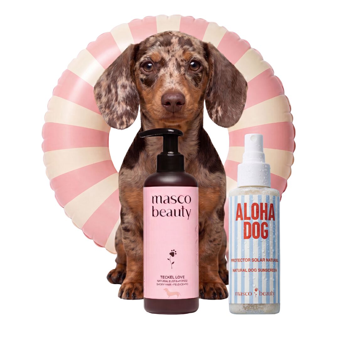 Pack Verano Teckel &middot; Champ&uacute; Jojoba y Manzanilla + Spray Solar SPF 30 &middot; Brillo, piel calmada y protecci&oacute;n solar para Dachshund de pelo corto &middot; Hecho en Espa&ntilde;a, , large Imagen numero 1