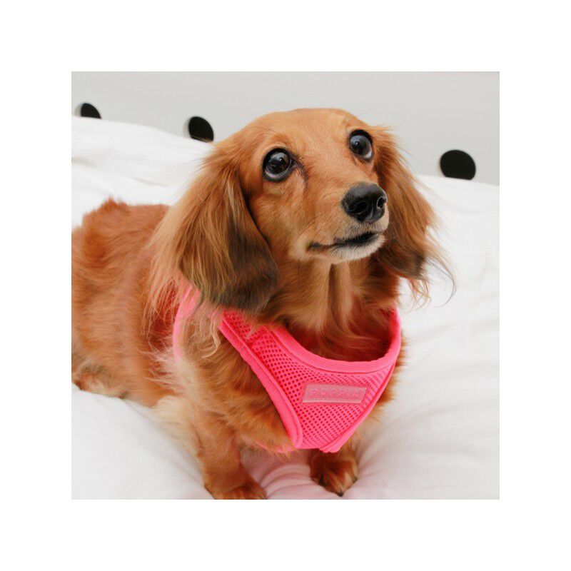 Arn&eacute;s Neon Vest para perros color Rosa, , large Imagen numero 2