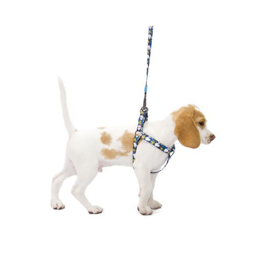 Correa de poli&eacute;ster para perros Zooz Pets Xablue, , large Imagen numero 2