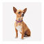 DC Collar Estampado Supergirl para perros, , large indicador imagen numero 2
