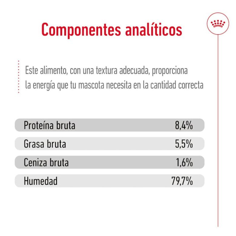 Royal Canin Medium 7+ Ageing lata para perros thumbnail