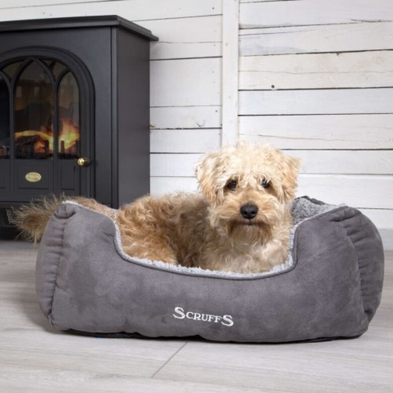 Cama De Mascota color Gris, , large image number null