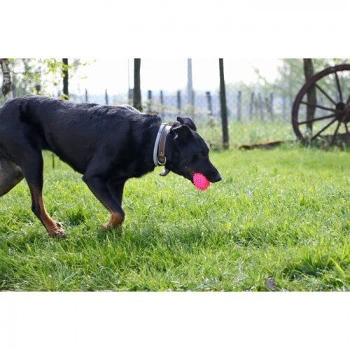 AIME erizo de juguete de vinilo rosa para perros, , large Imagen numero 5