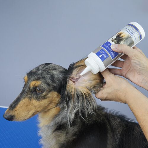 Polvo para o&iacute;dos Ib&aacute;&ntilde;ez, , large Imagen numero 3