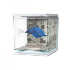 Marina betta kit acuario dibujo cráneos 
