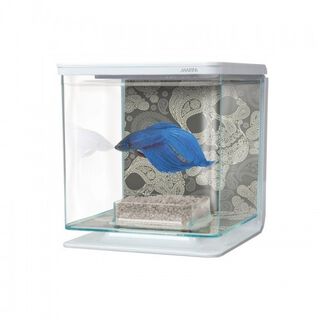 Marina betta kit acuario dibujo cráneos 