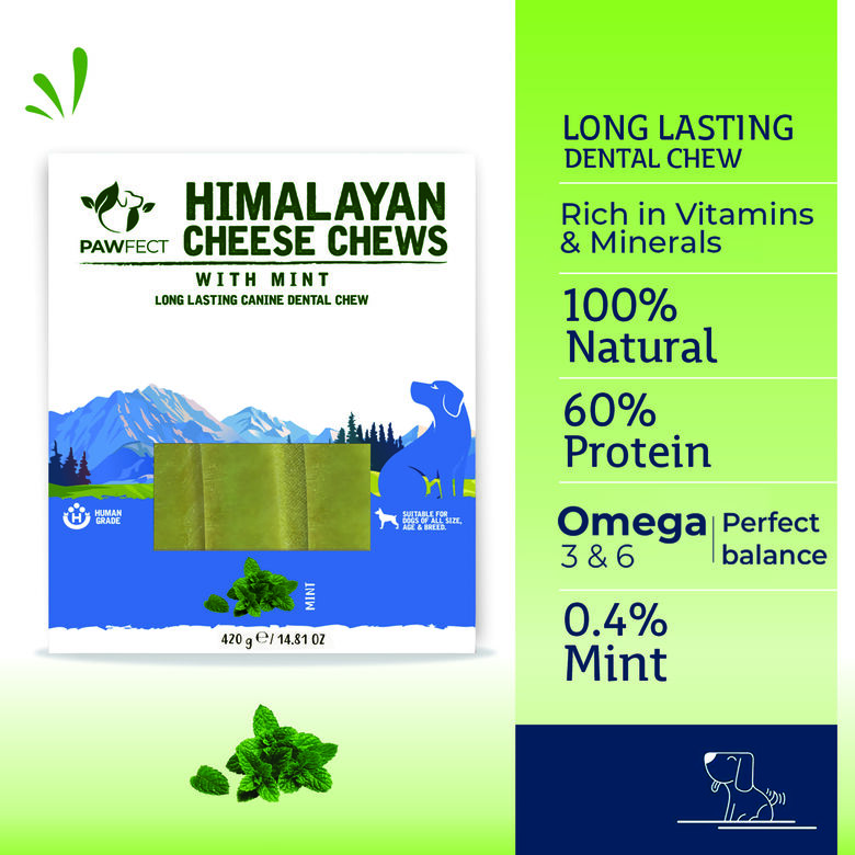 Pawfect Masticables dentales de queso del Himalaya, menta thumbnail