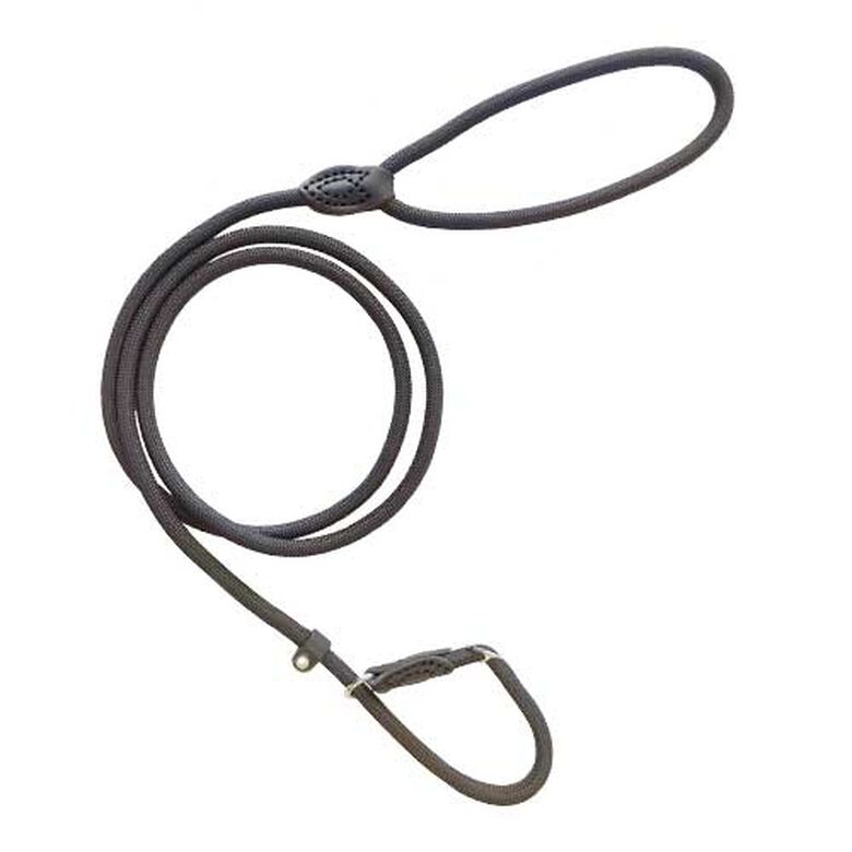 Ibañez Correa Lazo Nylon Grueso para perros thumbnail