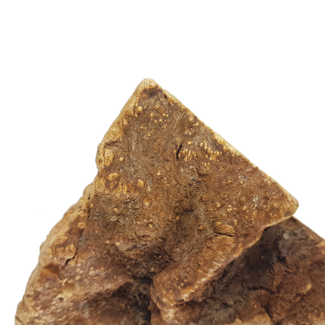 BIMORDISCOS Ra&iacute;z de brezo para perros, , large Imagen numero 3