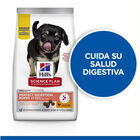 Hill’s Puppy Medium Science Plan Perfect Digestion Pollo pienso, , large image number null