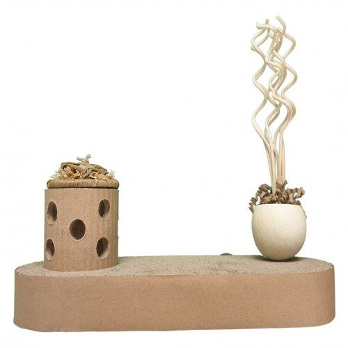 Cooltoys bandeja de forraje natural para loros peque&ntilde;os y medianos, , large Imagen numero 2