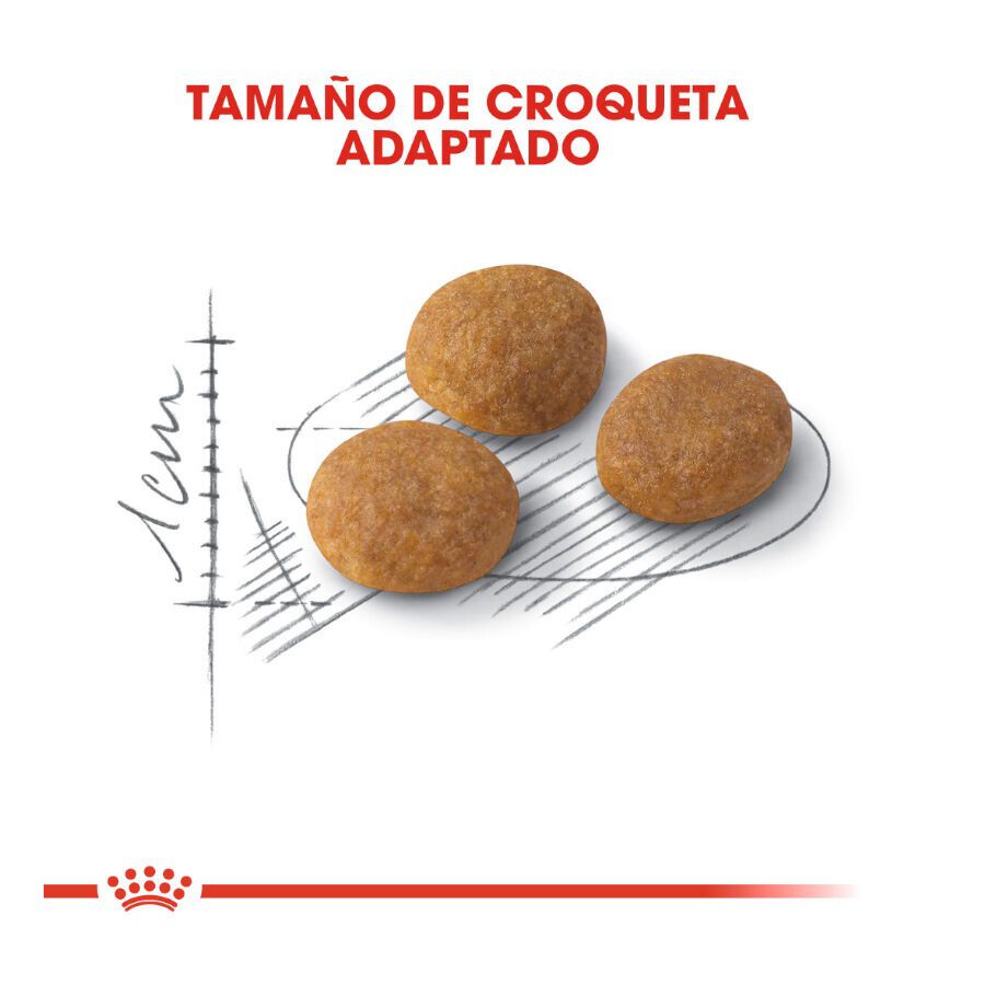 Royal Canin Adult Exigent Aroma pienso para gatos thumbnail