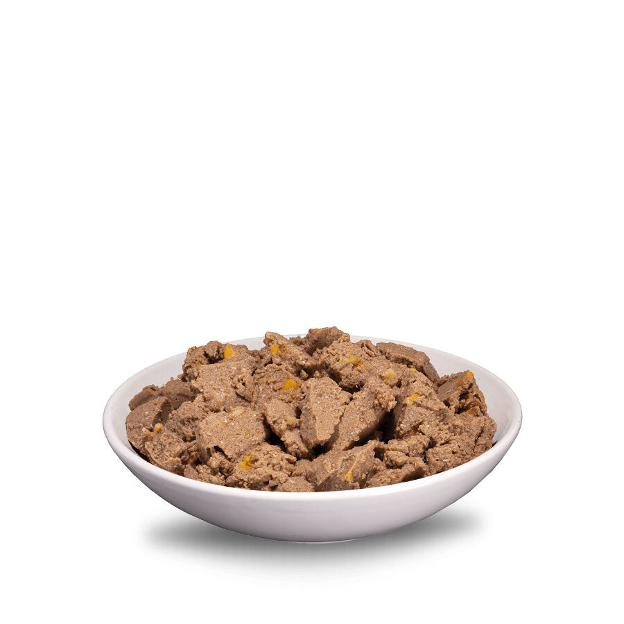 ERA Sybarite Adulto Atún, Cerdo y Batata en paté lata para perros thumbnail