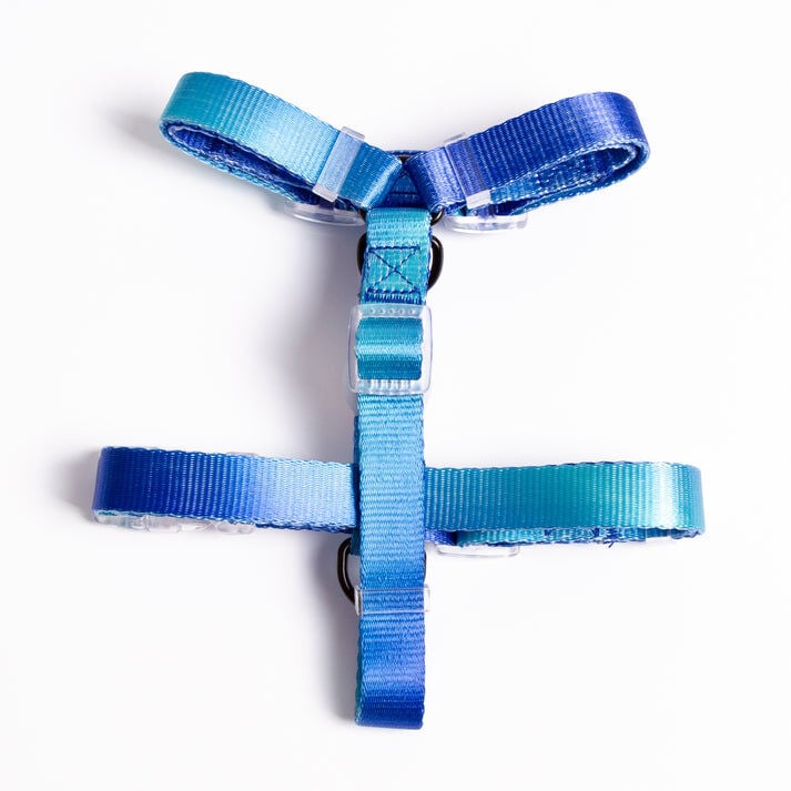 XUXO Arnés Azul NEON PARTY MIDNIGHT para perros thumbnail