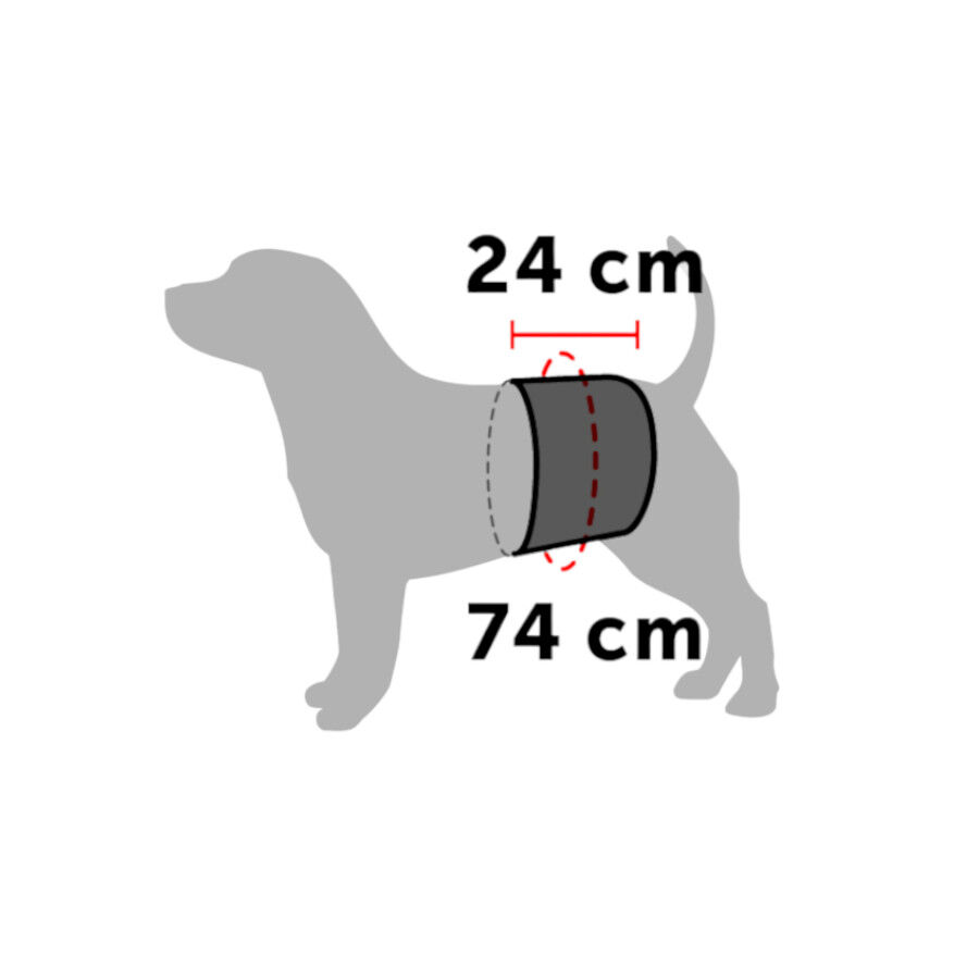 Flamingo Pa&ntilde;al Lavable para perros machos, , large Imagen numero 4