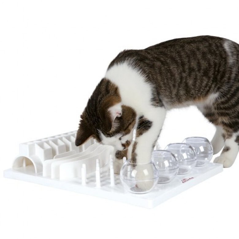 Tablero de juegos para gatos color Blanco, , large image number null