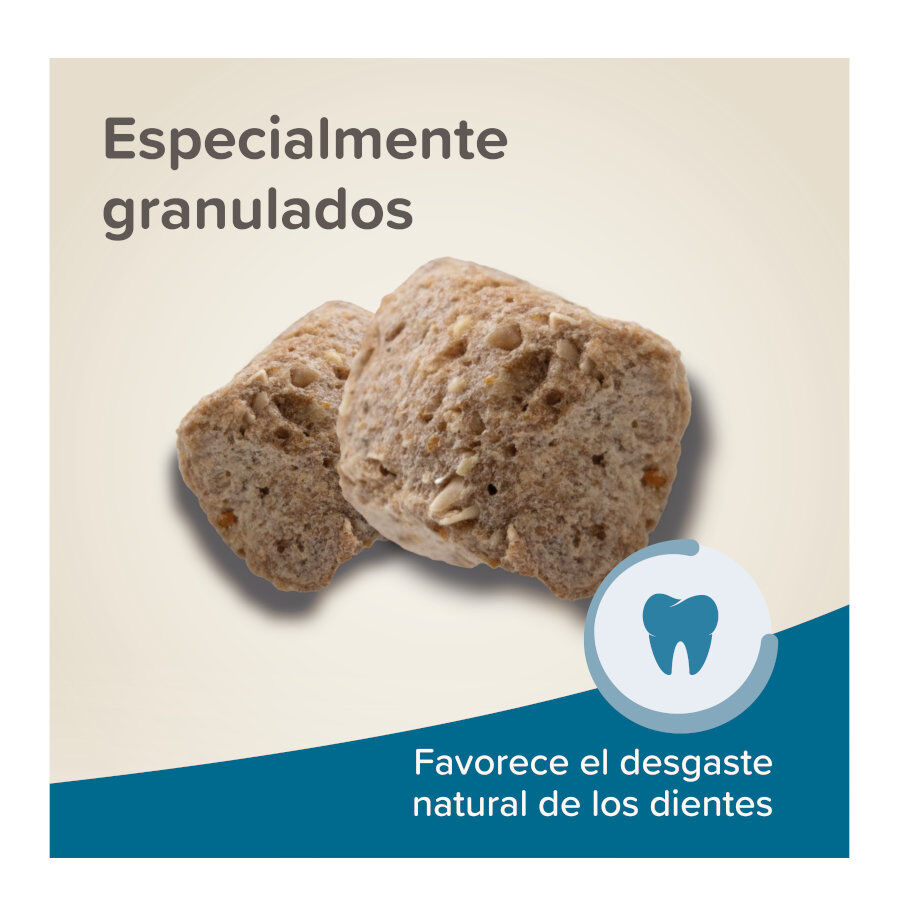 Beaphar Care+ Pienso para hámsteres thumbnail