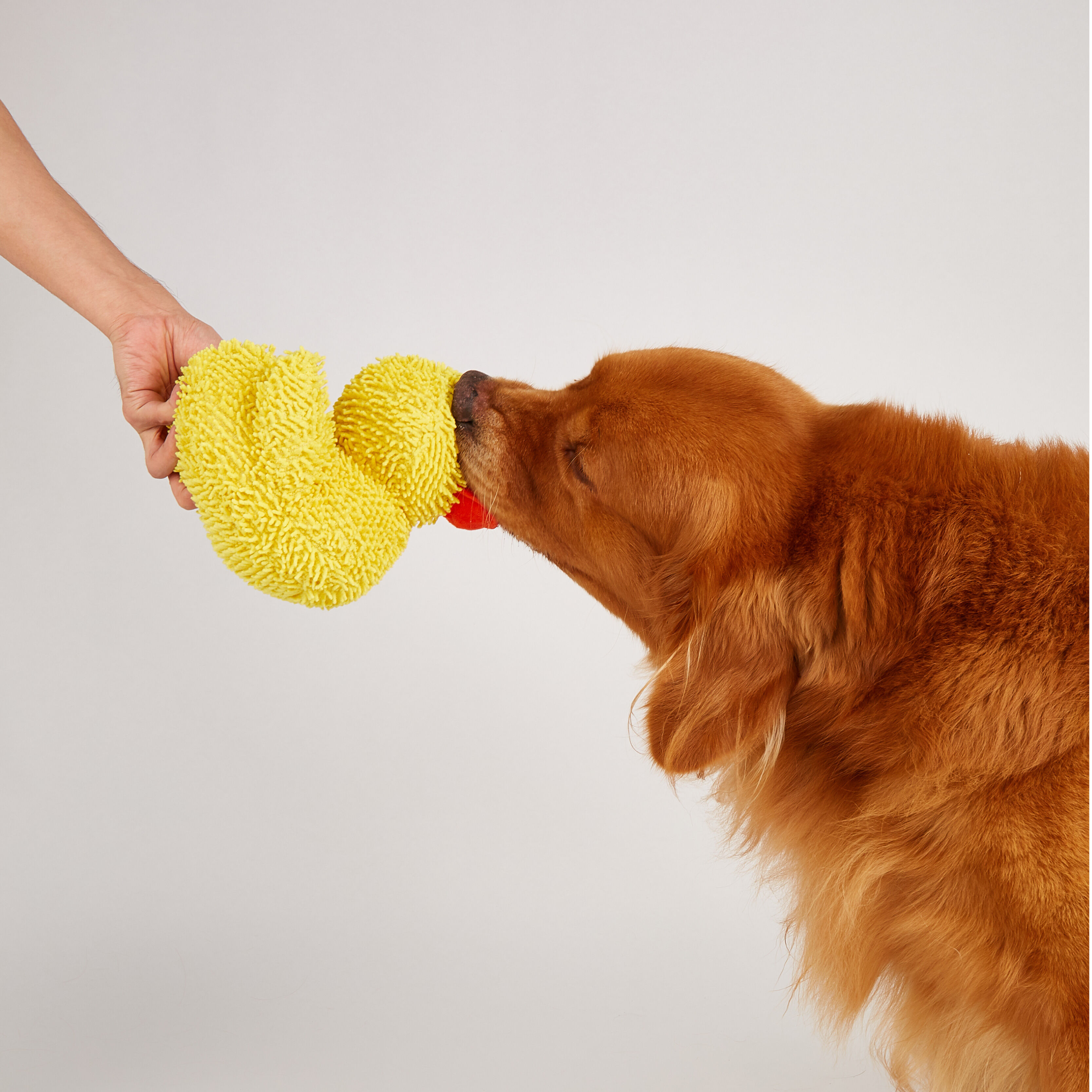 Brinquedo Resistente para perro &ndash; Pato Jeep, , large Imagen numero 2