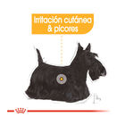 Royal Canin Dermacomfort Mini pienso para perros, , large image number null