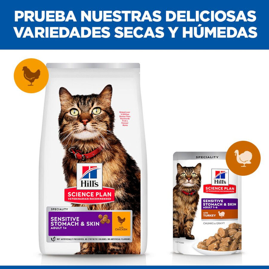 1.5 kg Hill's Adult Science Plan Sensitive Stomach Pollo pienso para gatos, , large Imagen numero 7