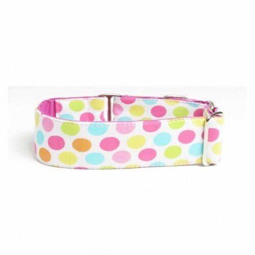Collar Martingale Puntos para perros color Variado, , large Imagen numero 3