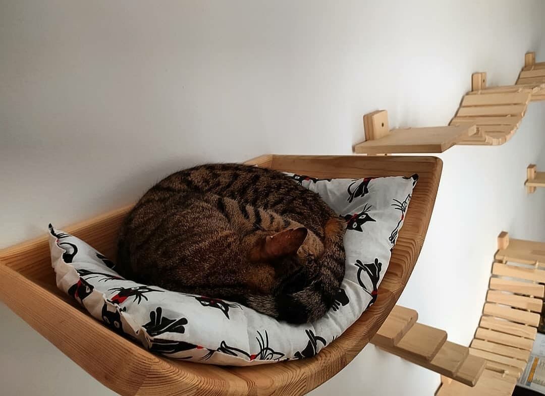 Cama Curva, , large Imagen numero 3