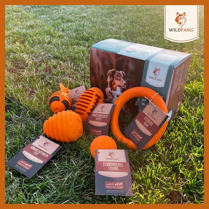 WILDFANG&reg; - pelota de lanzamiento con cuerda - pelota de calabaza para perros, , large Imagen numero 5