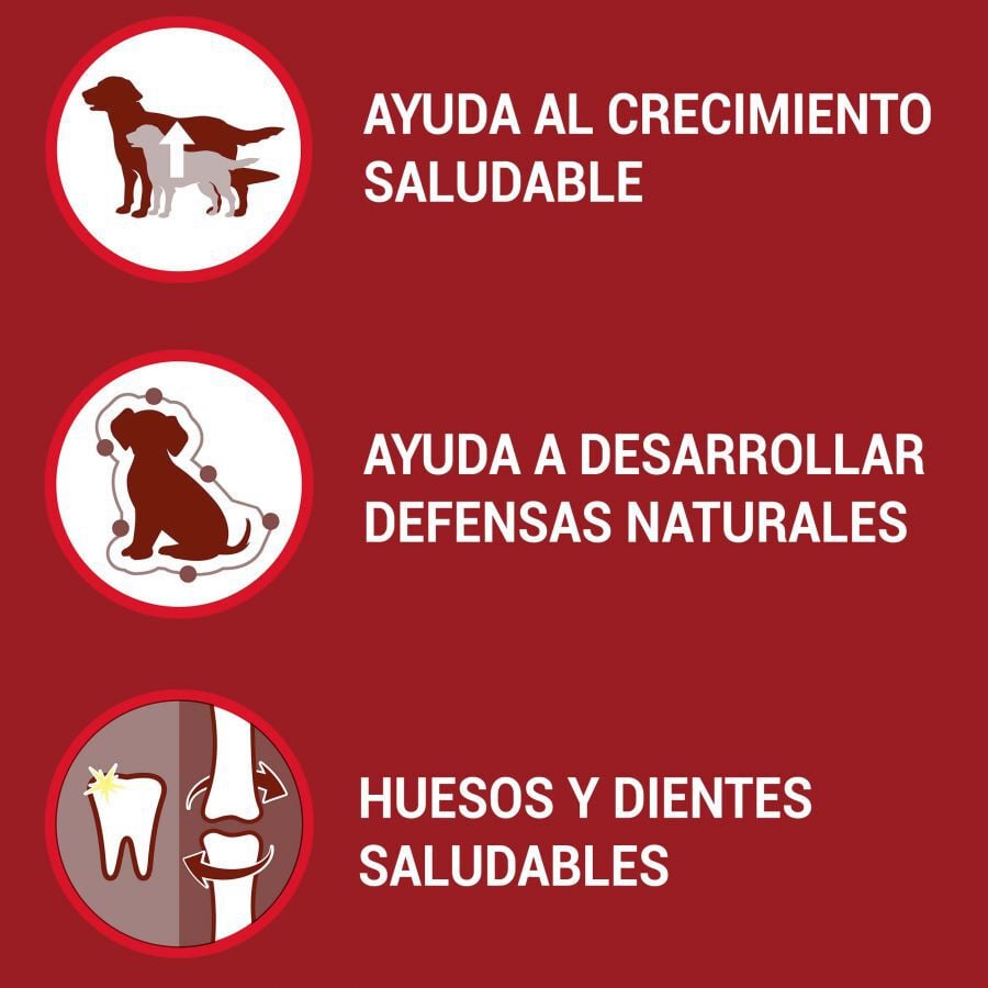 Purina One Junior Bifensis Pollo pienso para perros thumbnail