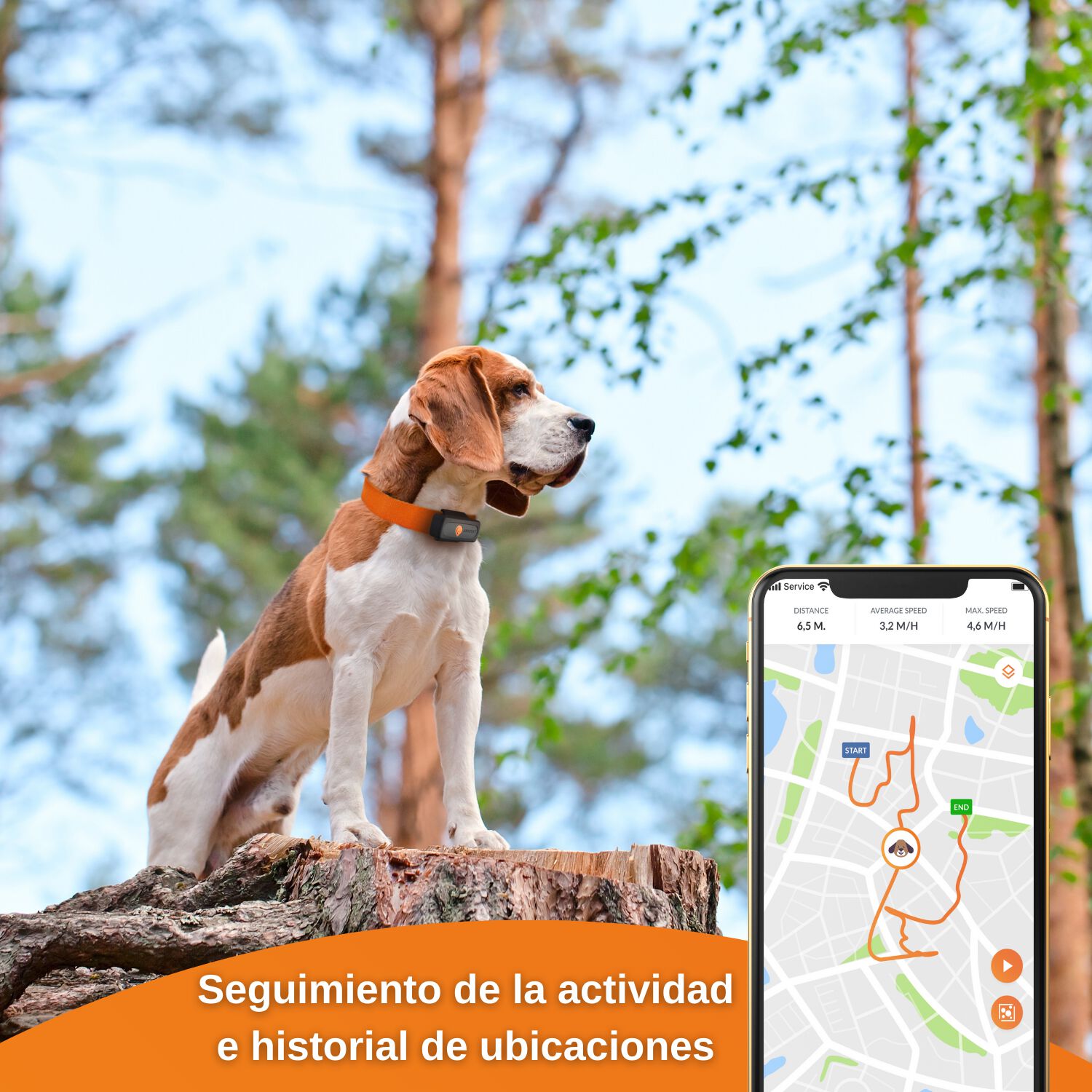 Weenect GPS Xs negro para perros thumbnail