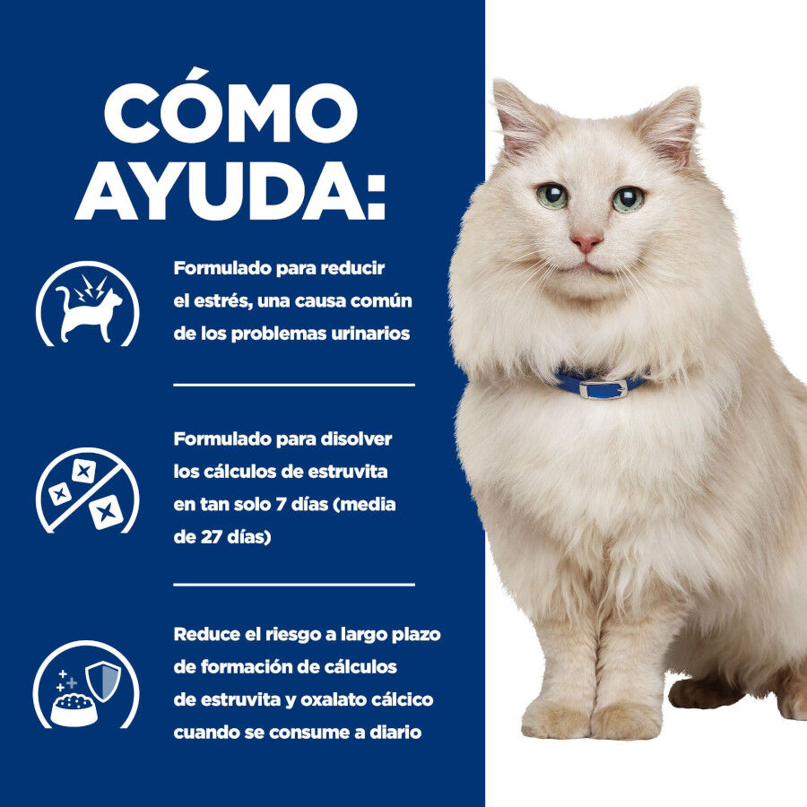 1.5 kg Hill's Prescription Diet Urinary Care c/d pescado azul pienso para gatos, , large Imagen numero 5