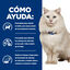 1.5 kg Hill's Prescription Diet Urinary Care c/d pescado azul pienso para gatos, , large indicador imagen numero 5