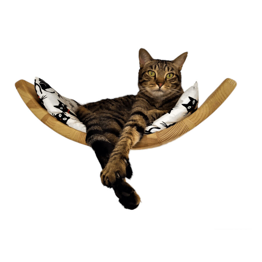 Cama Curva, , large Imagen numero 1