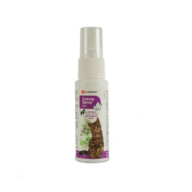 Spray estimulante de catnip para gatos