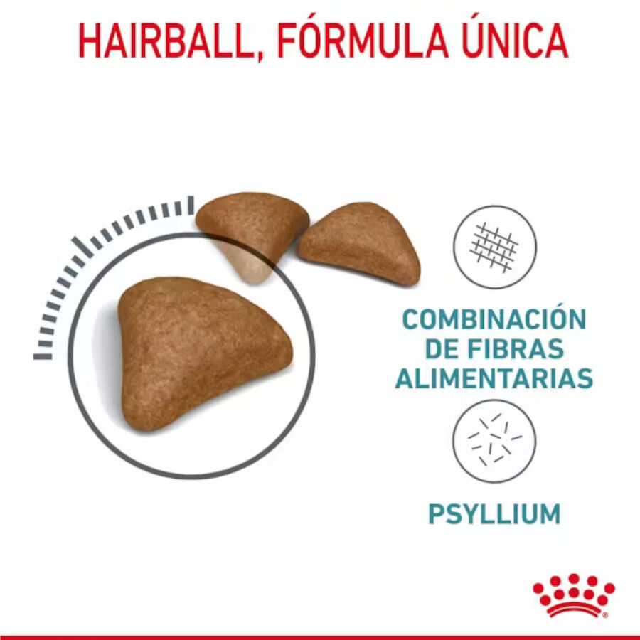 Royal Canin Intense Hairball pienso para gatos thumbnail