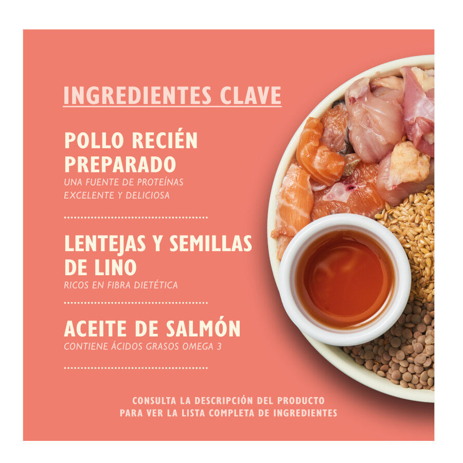 Lily&#039;s Kitchen Puppy Pollo y Salmón pienso para cachorros thumbnail